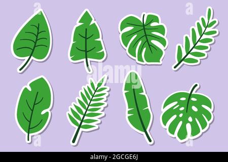 Foglie tropicali adesivi verdi astratti insieme piatto isolato su sfondo viola. Monstera di diversi tipi, banane, altre piante della giungla. Collezione per il design. Elementi decorativi. Illustrazione vettoriale Illustrazione Vettoriale