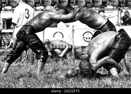 Kirkpinar olio Wrestling Foto Stock