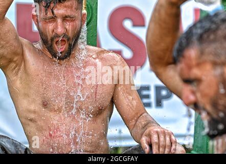 Kirkpinar olio Wrestling Foto Stock