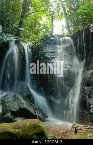 Vision Falls, Lago Eacham, Atherton Tablelands, Australia Foto Stock