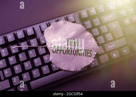 Visualizzazione concettuale nuove opportunità. Parola per la situazione che rende possibile fare qualcosa che compone il nuovo messaggio di posta elettronica, ricercando Internet per Foto Stock