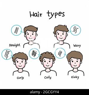 Uomo capelli tipi cartoon vettore infografica illustrazione Illustrazione Vettoriale