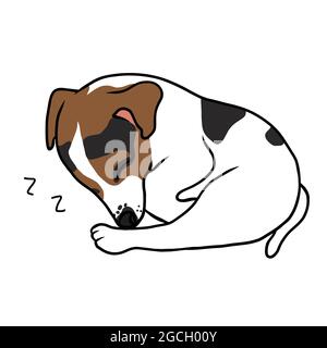 Jack Russell cucciolo cane dormire cartoon vettore illustrazione Illustrazione Vettoriale