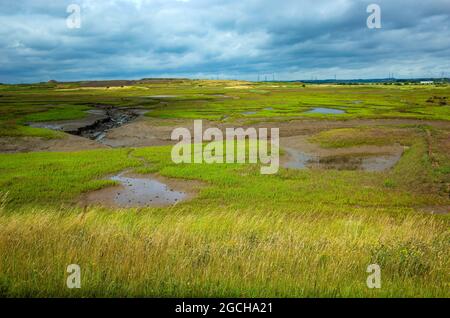 Vista da un nascondiglio pubblico nella riserva naturale nazionale di Teesmouth, guardando a nord verso il torrente Greatham Foto Stock