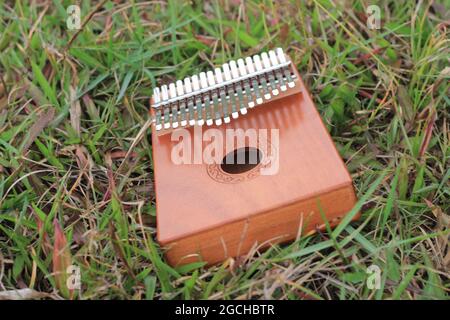 Kalimba, strumento di musica acustica africano e la sua copertina morbida a Grass Foto Stock