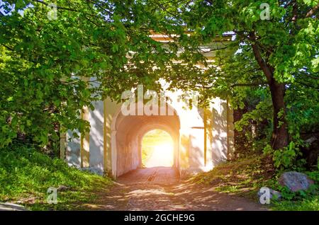 Luce di uscita Foresta e arco in pietra. Luce alla fine del tunnel Foto Stock