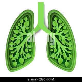 Natura polmoni con foglie, illustrazione vettoriale in carta art stile. Polmoni verdi del pianeta Terra. Salvare ambiente, ecologia Illustrazione Vettoriale