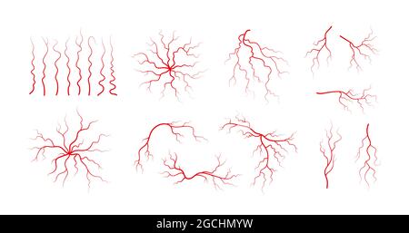 Insieme di vene e arterie umane. Vasi sanguigni e capillari a ramificazione rossa. Illustrazione vettoriale isolata su sfondo bianco Illustrazione Vettoriale