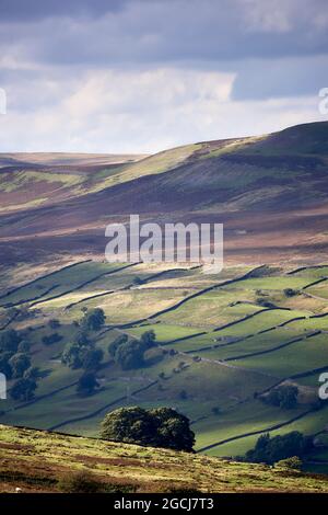 Ritratto delle colline di Dales e delle campane in tenera nuvola ombra, con campi, pareti di pietra, viste lontane e cielo. Foto Stock