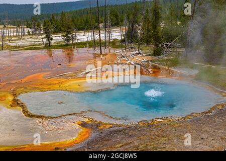 In questo colpo bolle d'acqua calda fumante alla cima in Firehole Spring lungo Firehole Lake Drive nel Yellowstone National Park, Wyoming, Stati Uniti. Foto Stock