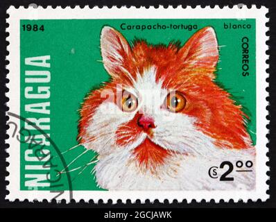 NICARAGUA - CIRCA 1984: Un francobollo stampato in Nicaragua mostra tartaruga gatto, gatto domestico, circa 1984 Foto Stock