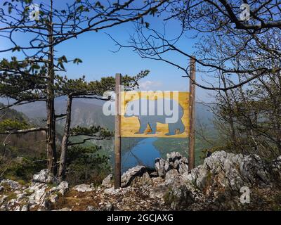 Punto panoramico Banjska Stena nel Parco Nazionale Tara Foto Stock