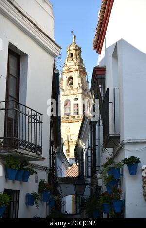 Córdoba Andalucía España mezquita catedral de Córdoba 2021 Foto Stock