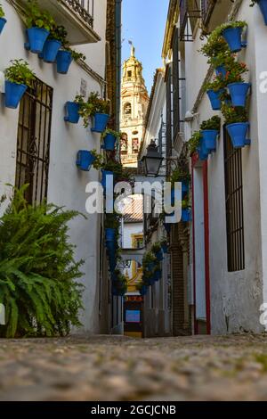 Córdoba Andalucía España mezquita catedral de Córdoba 2021 Foto Stock