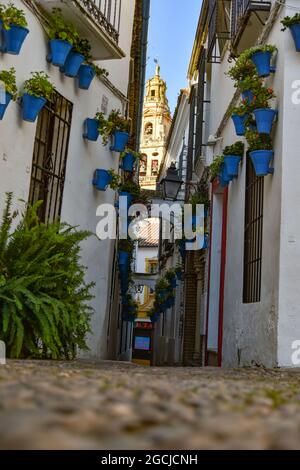 Córdoba Andalucía España mezquita catedral de Córdoba 2021 Foto Stock