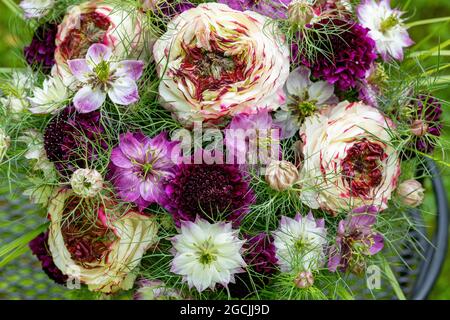 Botanica, bouquet estivo con e Nigella, PER IL SALUTO/CARTOLINA-USO IN GERM.SPEAK.C ALCUNE RESTRIZIONI POSSONO APPLICARSI Foto Stock