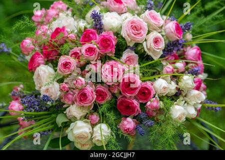Botanica, bouquet di rose in rosa, PER IL SALUTO/CARTOLINA-USO IN GERM.SPEAK.C ALCUNE RESTRIZIONI POSSONO APPLICARSI Foto Stock