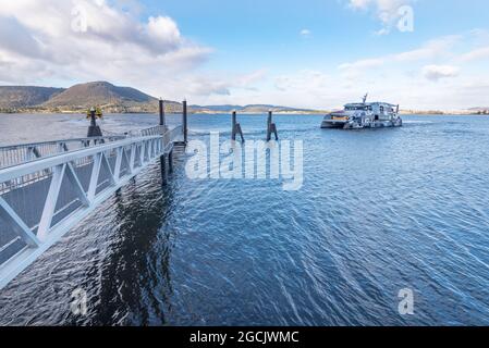 La Mona Roma, traghetto a doppio scafo, MR-1 che guida verso il molo del Museum of Old and New Art (MONA) sul fiume Derwent a Hobart, Tasmania, Australia Foto Stock