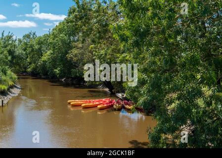 Canoe nel porto di Saint-Vivien in Médoc, sull'estuario della Gironda (Francia) Foto Stock