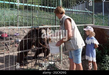 Non esclusivo: CHUBYNSKE, UCRAINA - 3 AGOSTO 2021 - UNA donna nutre i cuccioli di orso al Shelter White Rock Bear, un centro di riabilitazione per il ma predatorio Foto Stock