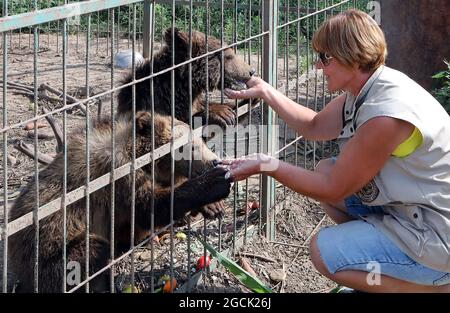 Non esclusivo: CHUBYNSKE, UCRAINA - 3 AGOSTO 2021 - UNA donna nutre i cuccioli di orso al Shelter White Rock Bear, un centro di riabilitazione per il ma predatorio Foto Stock