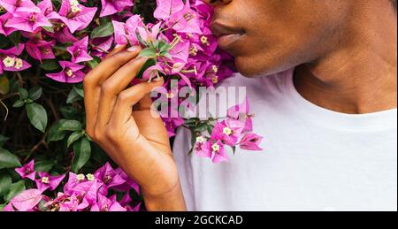 Cropped irriconoscibile spensierato africano americano maschio godendo profumo aromatico di bougainvillea fiori rosa nel parco estivo Foto Stock