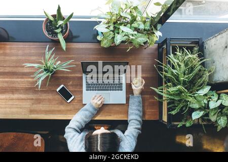 Vista dall'alto. Una ragazza adulta usa un computer portatile. Sta lavorando o studiando. Foto Stock