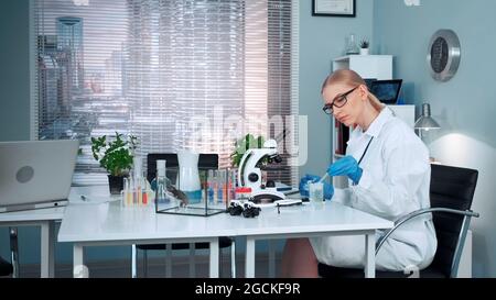Nel laboratorio di chimica moderna, lo scienziato di ricerca femminile che utilizza la pipetta per far cadere i fertilizzanti sul cursore e poi esaminarlo sotto una lente di ingrandimento Foto Stock