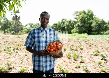 Soddisfatto bel coltivatore africano nero in una camicia di cotone a manica corta in piedi davanti ad un campo, tenendo un cesto di pomodori rossi in bot Foto Stock