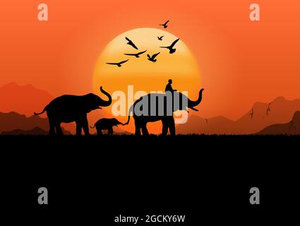 Immagine di silhouette elefante nero con elefante mahout che cammina al foresta con montagna e tramonto sfondo luce vettoriale sera Illustrazione Illustrazione Vettoriale