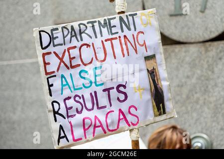 Londra, Regno Unito. 9 agosto 2021. Un segno di protesta al di fuori del Dipartimento per l'ambiente, l'alimentazione e gli affari rurali (DEFRA) che si batte per salvare la vita Geronimo l'alpaca dopo che il Segretario per l'ambiente George Ejustice ha difeso una controversa decisione di deporre l'animale che per due volte è risultato positivo per la tubercolosi bovina. Il proprietario di Geronimo, infermiera veterinaria Helen Macdonald, che alleva nella sua fattoria di Wickwar, nel sud del Gloucestershire, sostiene che i test utilizzati erano inaccurati e vuole che Geronimo ricevesse un test di Actiphage più accurato. Credit: Stephen Chung / Alamy Live News Foto Stock