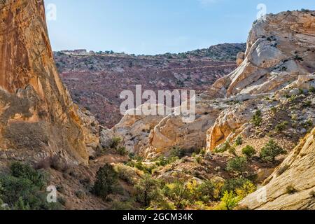 Burr Trail switchbacks, WaterPocket Fold, Capitol Reef National Park, Utah, USA Foto Stock