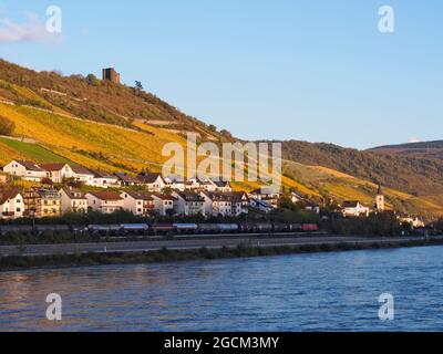 La città fortificata tedesca di Kaub con il castello di Gutenfels sullo sfondo Foto Stock