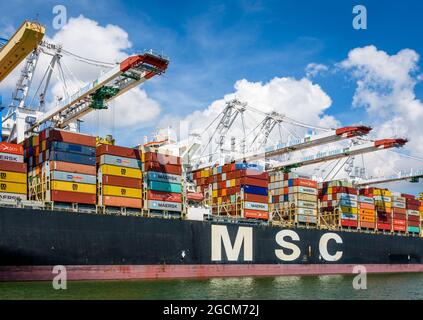 Vista laterale della nave portacontainer MSC Bettina attraccata nel terminal dei container Port 2000 a le Havre, Francia, scaricata da gru a portale post-panamax Foto Stock