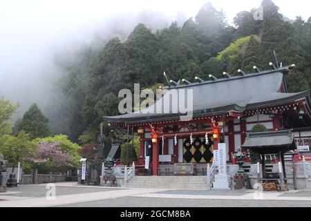 Einem Berg in Japan mit aufziehendem Nebel im Wald Foto Stock