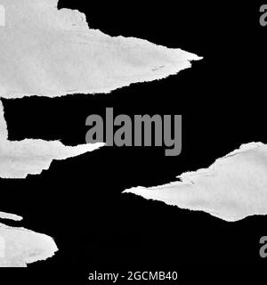 Carta strappata in bianco e nero stile collage, effetto carta strappata, sfondo stract texture, spazio copia per testo. Foto Stock