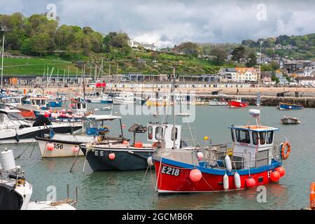 Lyme Regis porto, vista delle barche da pesca ormeggiate nel porto di Lyme Regis, Dorset, Inghilterra, Regno Unito Foto Stock