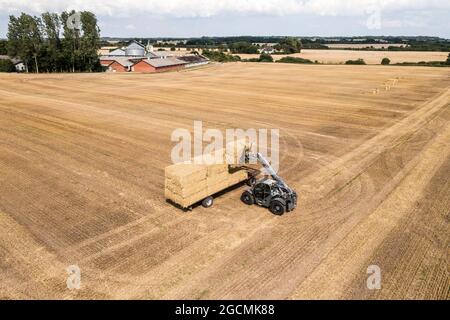 Jordrup, Danimarca. 06 agosto 2021. Un coltivatore sta trasportando balle di fieno quadrate grandi ad un campo di grano raccolto. (Foto: Gonzales Photo - Lasse Lagoni). Foto Stock