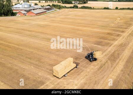 Jordrup, Danimarca. 06 agosto 2021. Un coltivatore sta trasportando balle di fieno quadrate grandi ad un campo di grano raccolto. (Foto: Gonzales Photo - Lasse Lagoni). Foto Stock