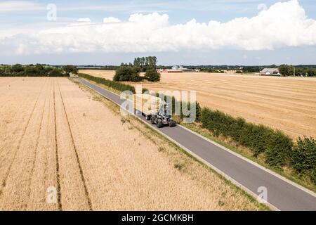 Jordrup, Danimarca. 06 agosto 2021. Un coltivatore sta trasportando balle di fieno quadrate grandi ad un campo di grano raccolto. (Foto: Gonzales Photo - Lasse Lagoni). Foto Stock