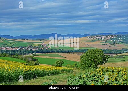 Couze Pavin valle, Puy-de-Dome, Auvergne-Rodano-Alpi, Massiccio-Centrale, Francia Foto Stock