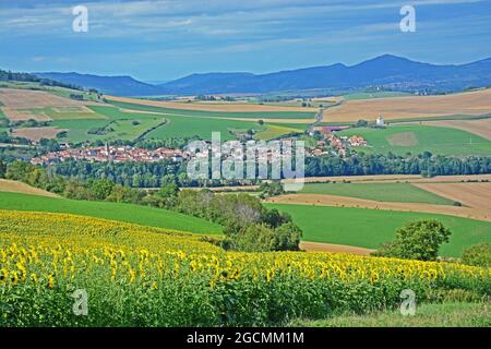 Couze Pavin valle, Puy-de-Dome, Auvergne-Rodano-Alpi, Massiccio-Centrale, Francia Foto Stock