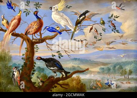 Jan Van Kessel opera dal titolo Uccelli esotici - Exotische Vogels Brafa Foto Stock