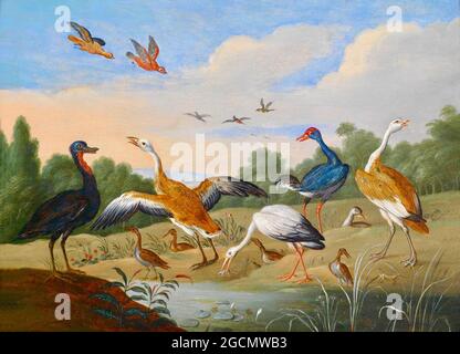 Jan Van Kessel opera intitolata Reiher und Enten - Herons e Ducks. Foto Stock