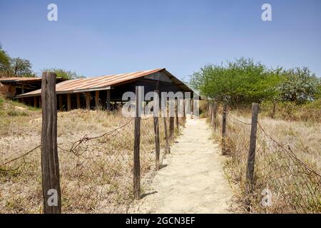 Olorgesailie sito preistorico in Kenya Africa Foto Stock