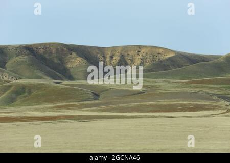 Le verdi colline della California centrale sono mostrate durante il giorno. Foto Stock