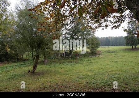Polonia, Podlasie- 11 Ottobre 2020: Paesaggio Podlasie Foto Stock