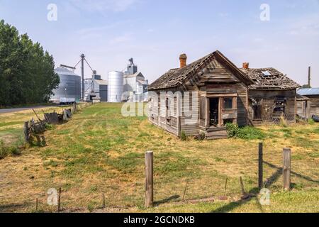 Casa in legno abbandonata di fronte ai granai moderni, Uniontown, Washington state, USA, Foto Stock