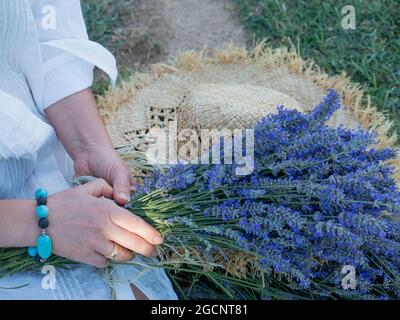 nelle mani di una ragazza hanno un bouquet di lavanda Foto Stock