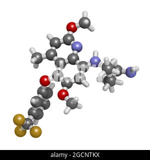 Tafenoquine, molecola di droga per la malaria. Rendering 3D. Foto Stock